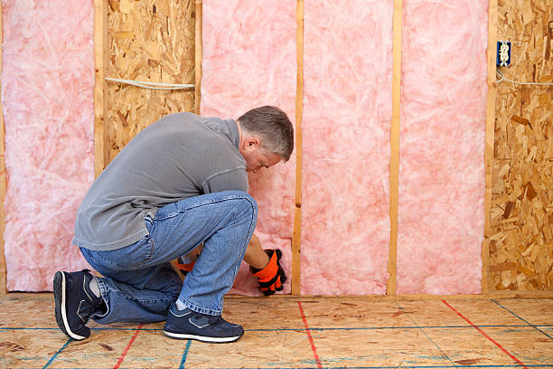 Eco-Friendly or Green Insulation Solutions in Paola, KS